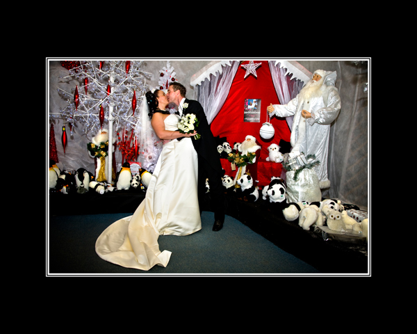 Winter wedding picture inside Tong Garden Centre