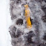 Snow and Yellow Lines