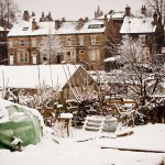 Dewsbury allotments in the snow