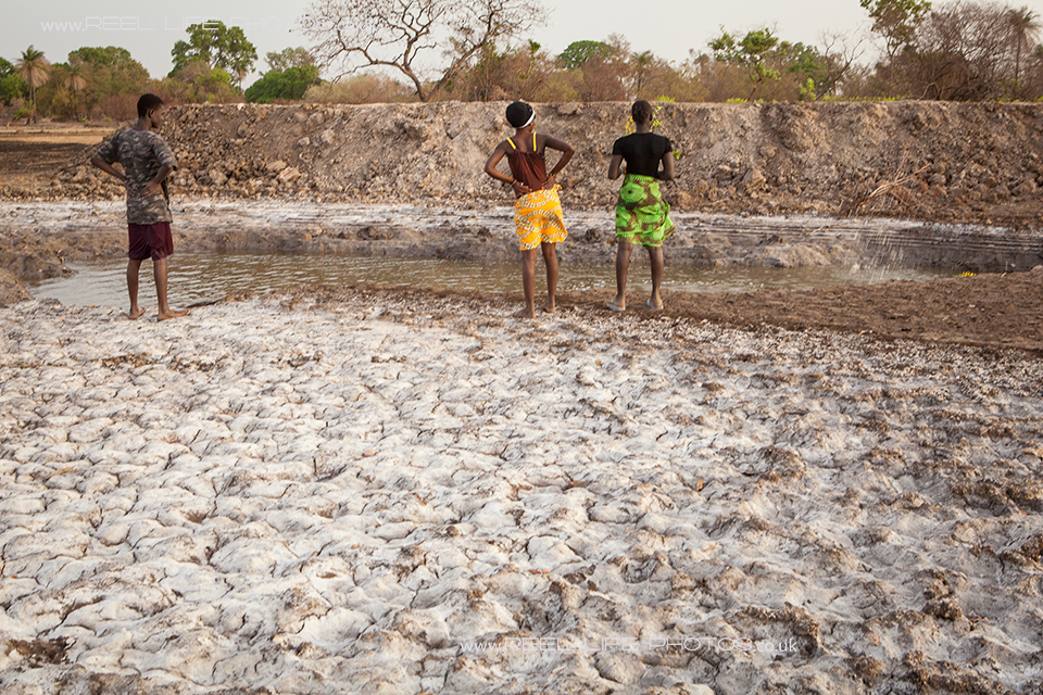 dried salt by the river bed in The Gambia
